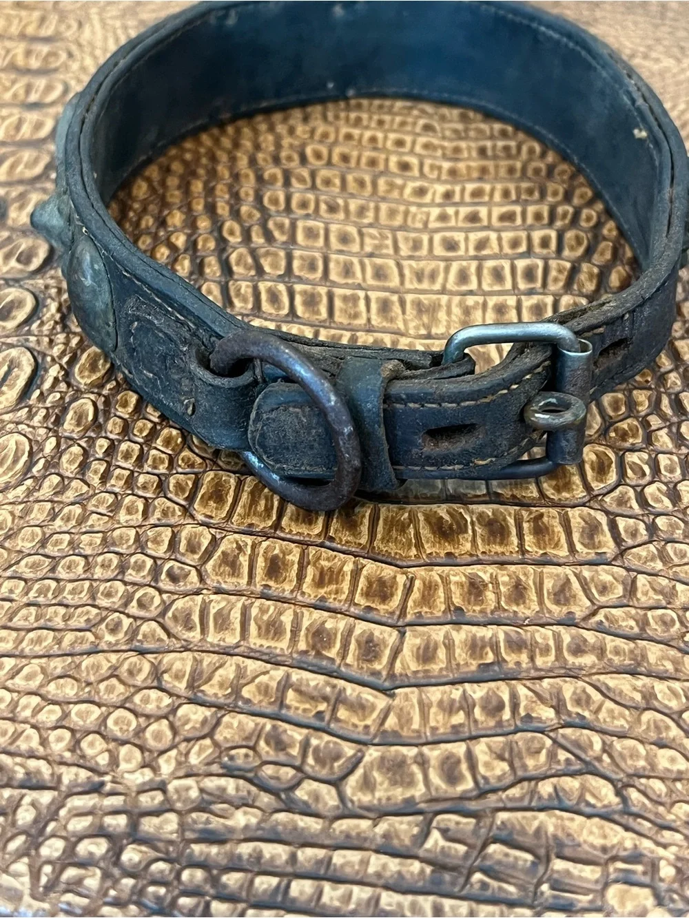 Vintage 18-19th Century Leather Dog collar with Brass Studs and Pawprint Conchos